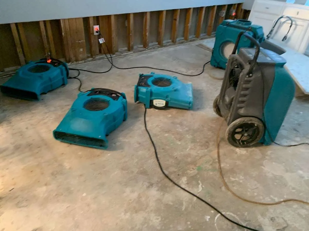Water Damage Restoration services in Greenville, IL